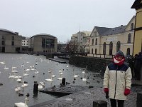 No bread to feed the ducks and swans :-(